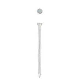 6J83 - Medium Packet
